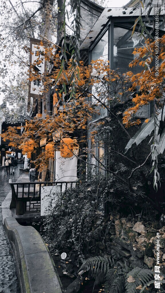 秋日林间小屋的静谧景致