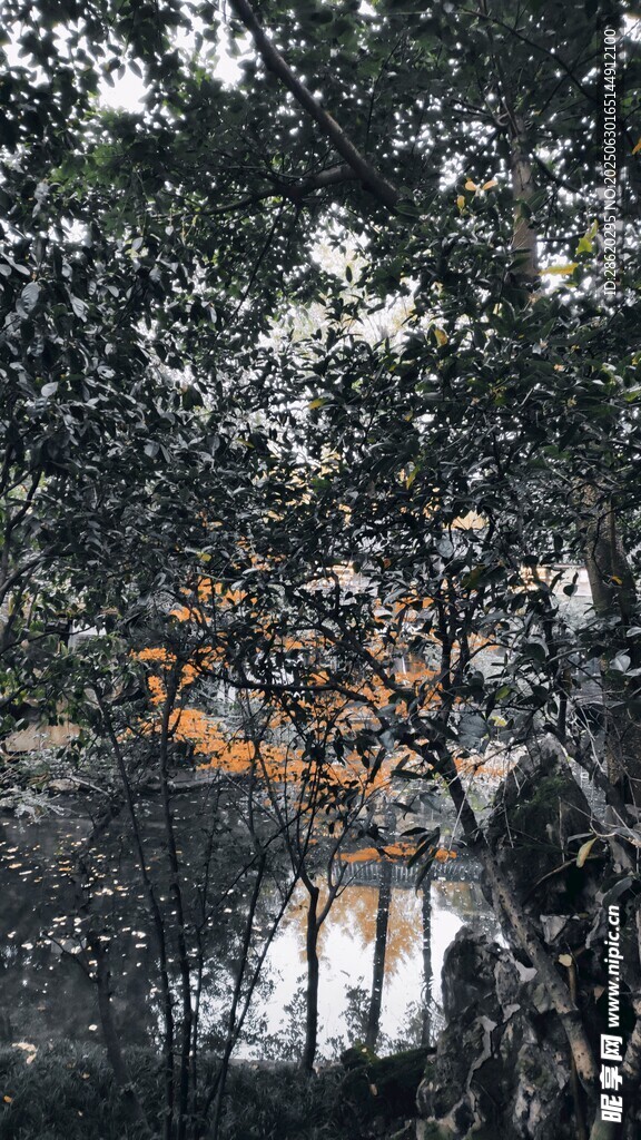 透过树枝见远处建筑