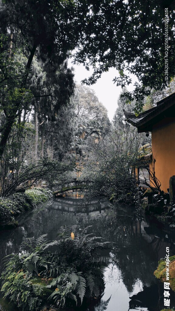 中式园林景观中的静谧角落