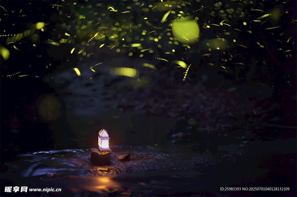 灯罩萤火虫