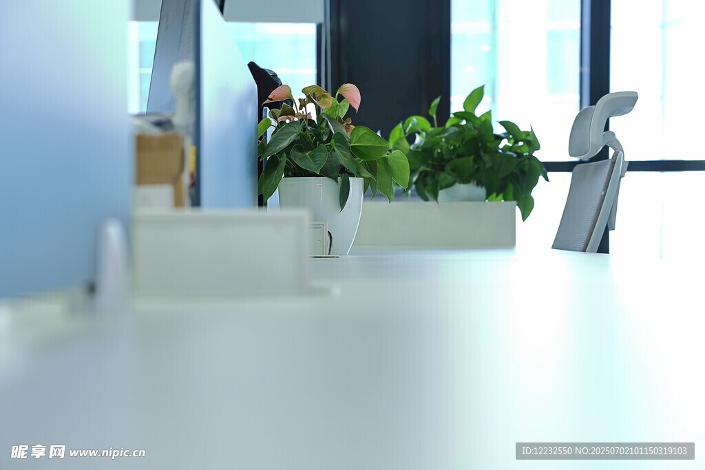 办公桌上的清新绿植