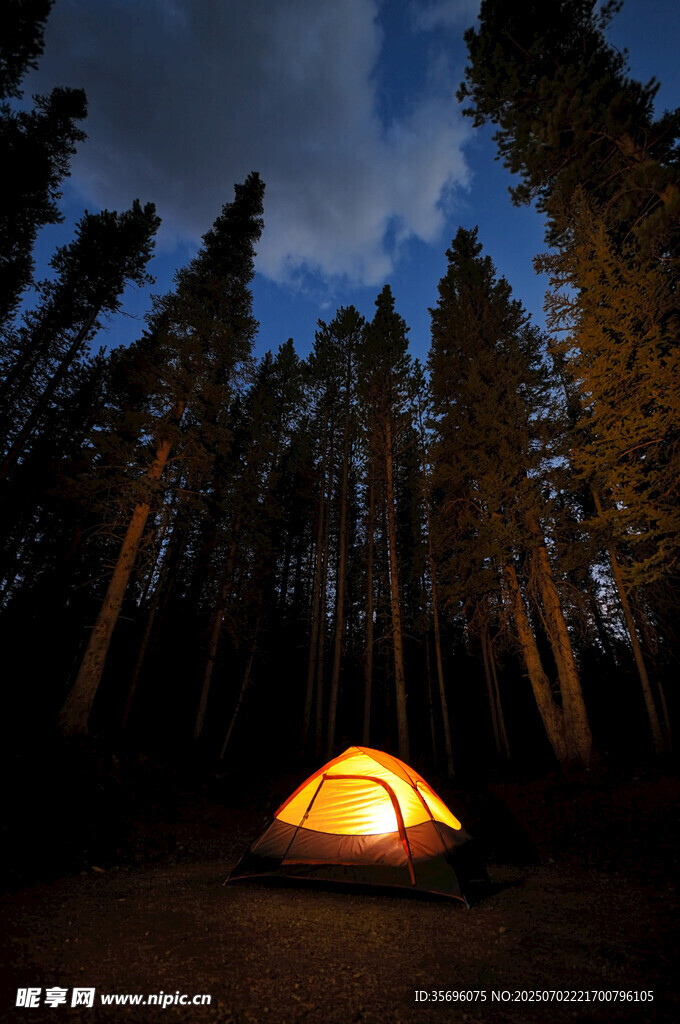 森林中点亮的温馨露营帐篷