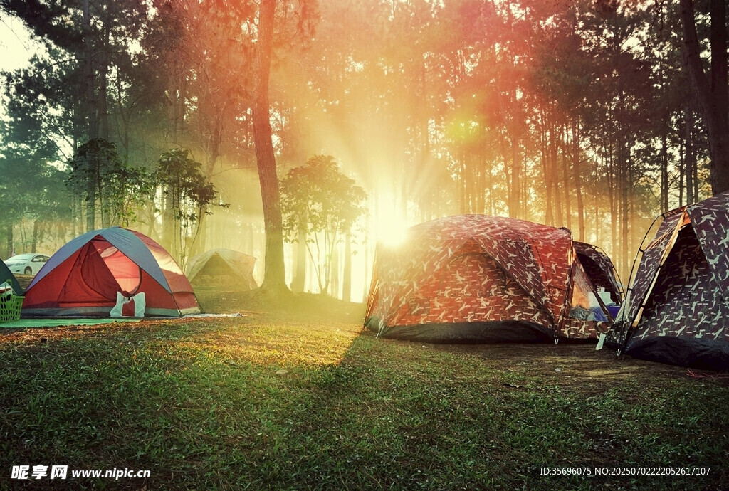 森林晨光中的露营帐篷