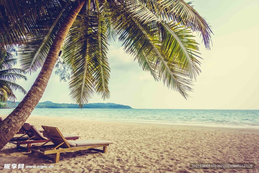 沙滩椰树下的休闲躺椅