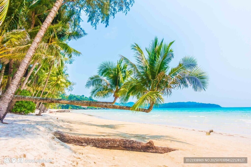 美丽热带海滩风光