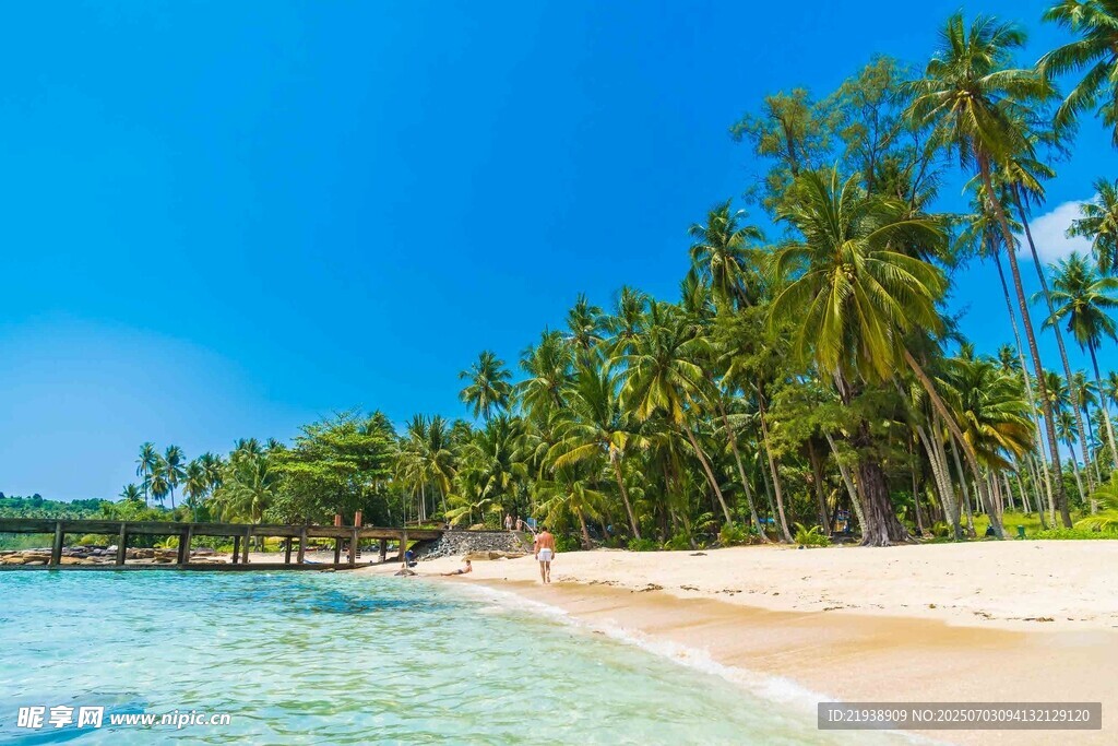 美丽热带海滩风光