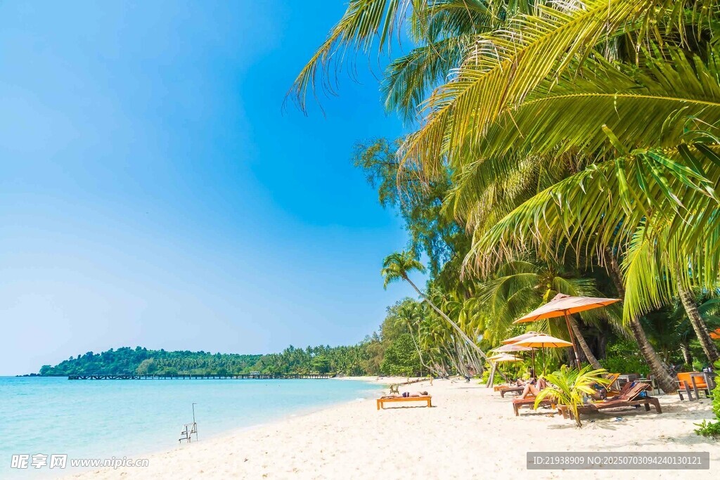 美丽热带海滩风光