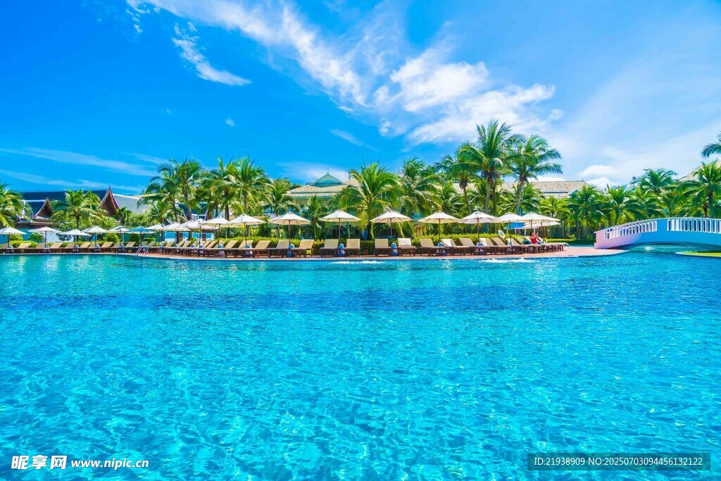 热带风情泳池美景