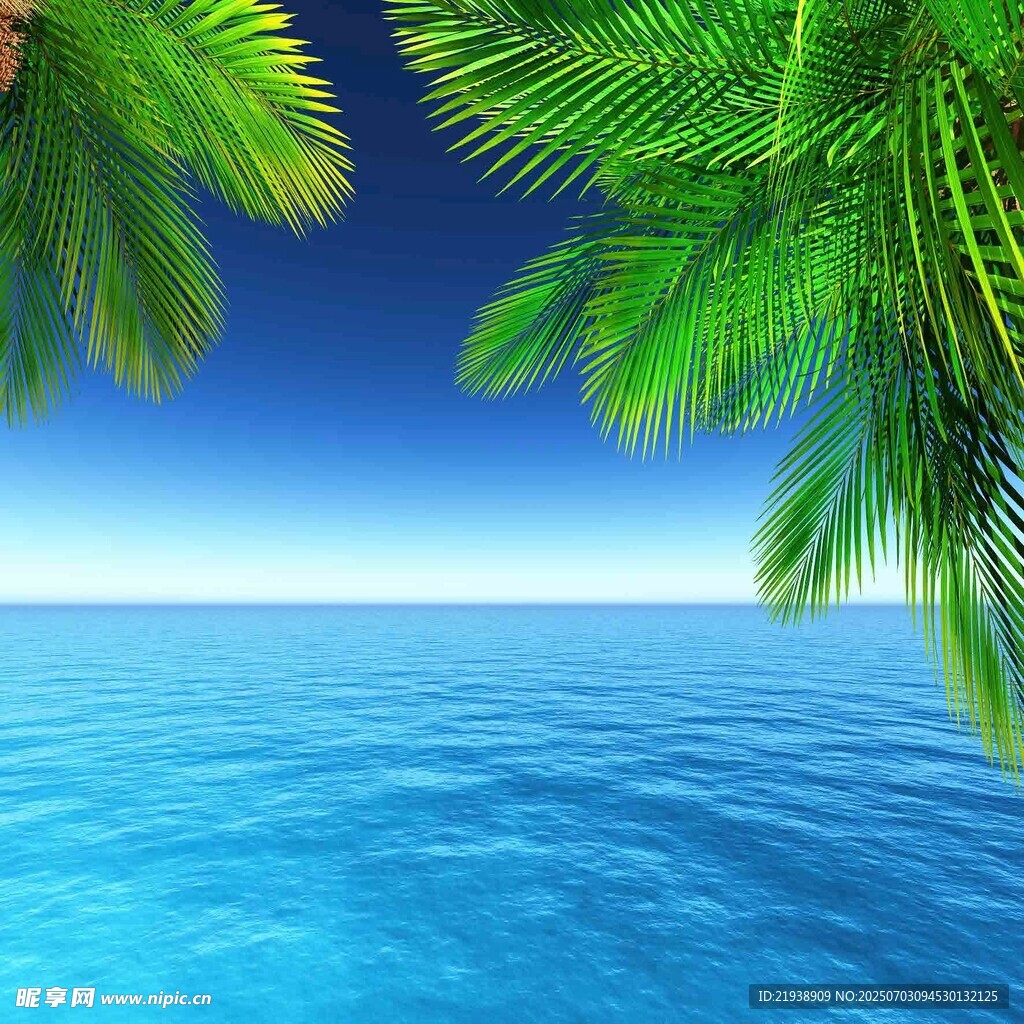 海边椰影下的蔚蓝海洋