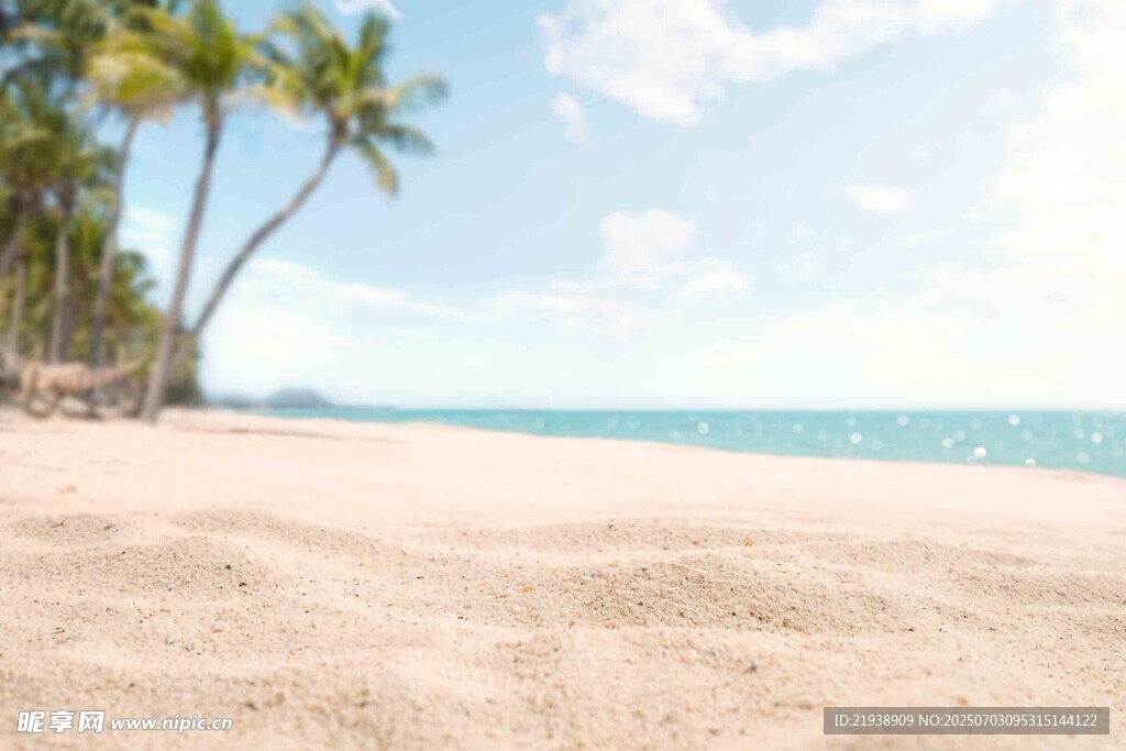 美丽沙滩与椰树海景