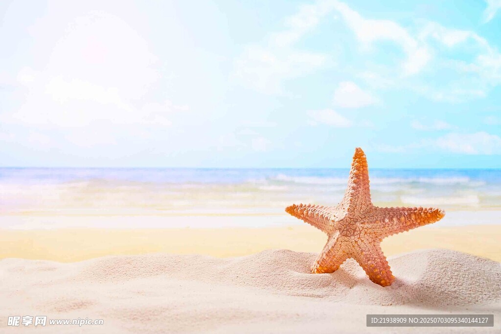 沙滩上的海星
