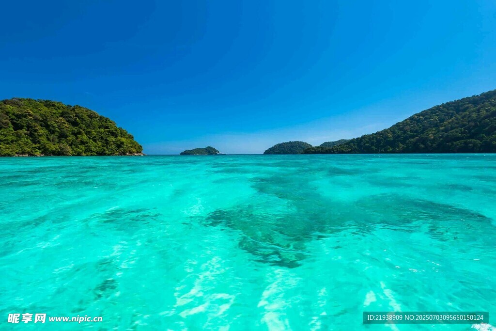 清澈蓝水下的美丽海底世界