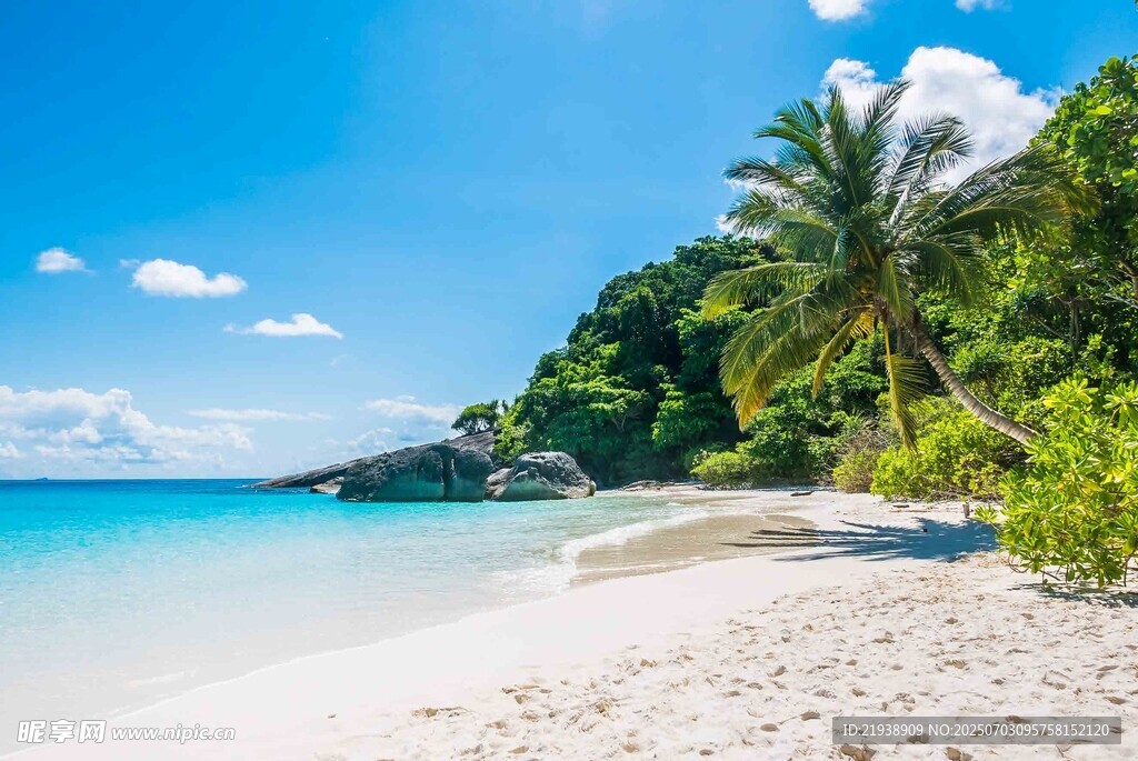 美丽热带海滩风光