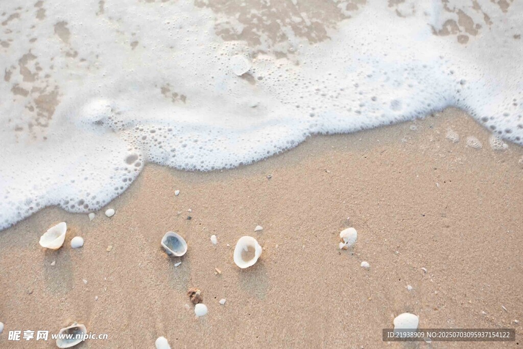 沙滩上的海浪与散落贝壳