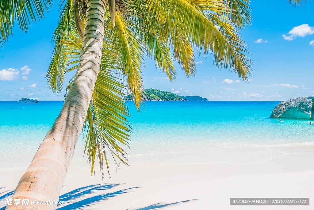 美丽热带海滩风光