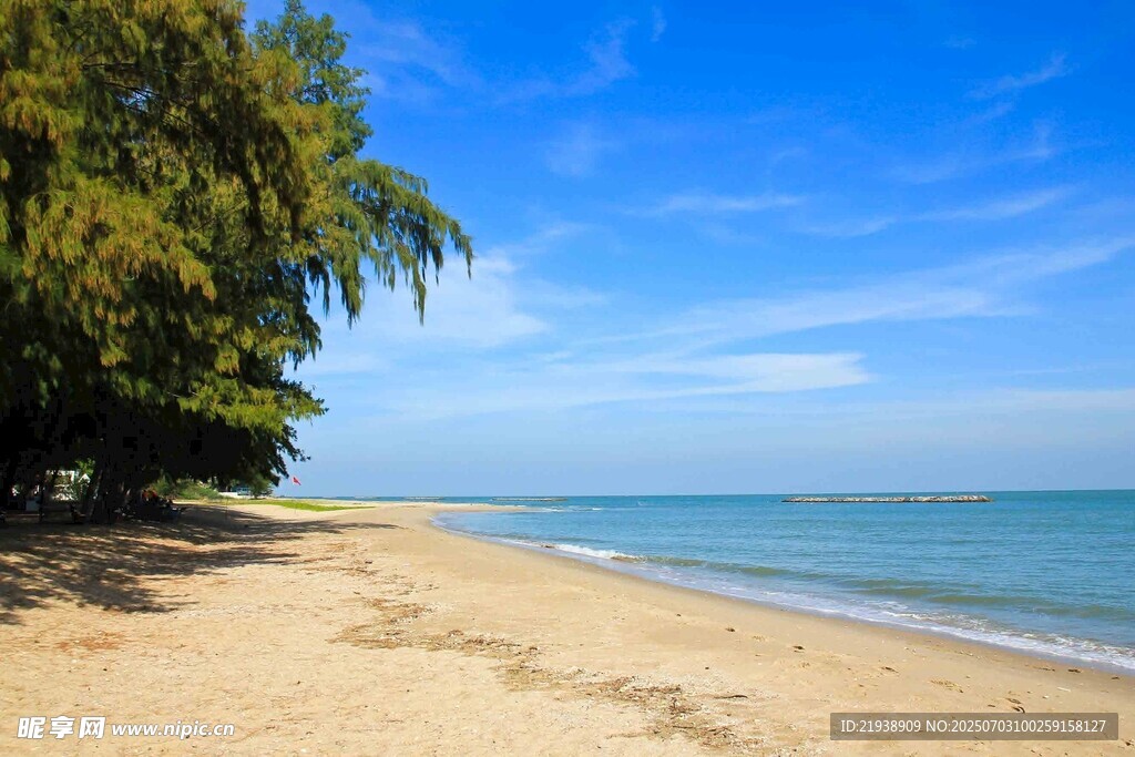 美丽海滨沙滩风光