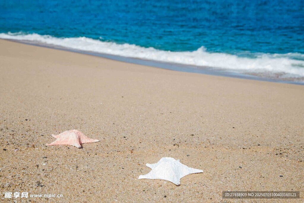 沙滩上的贝壳与蓝色大海