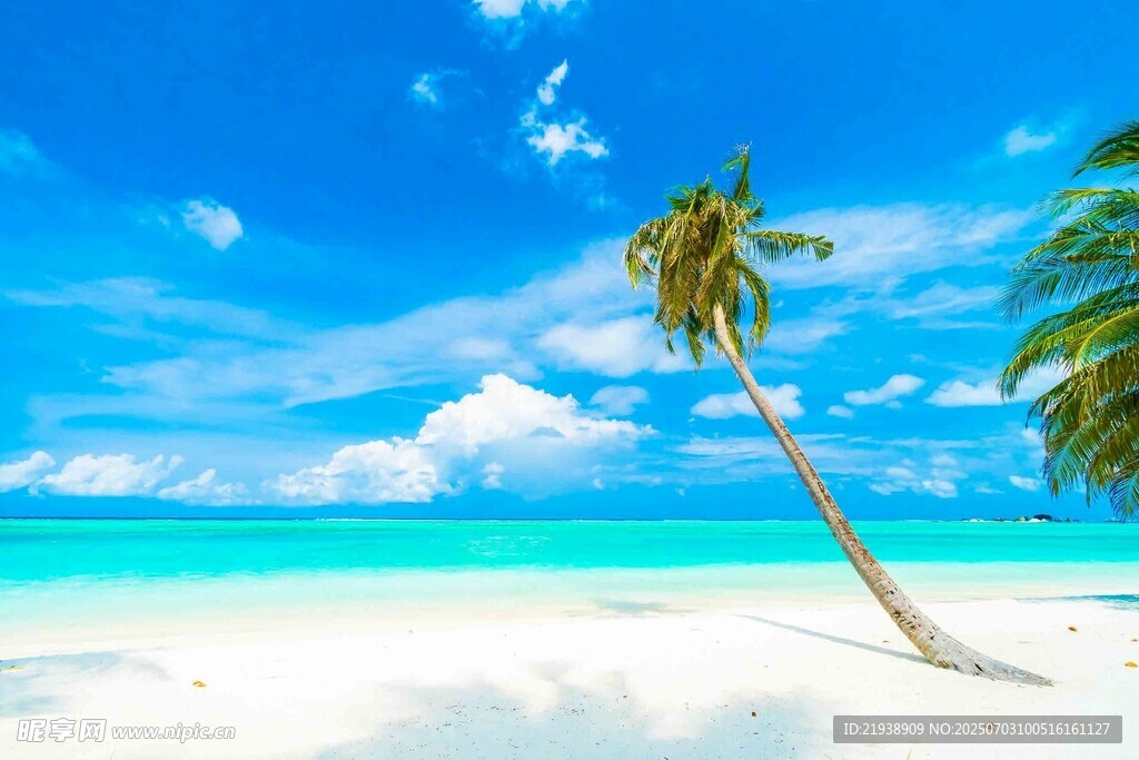 美丽热带海滩风光