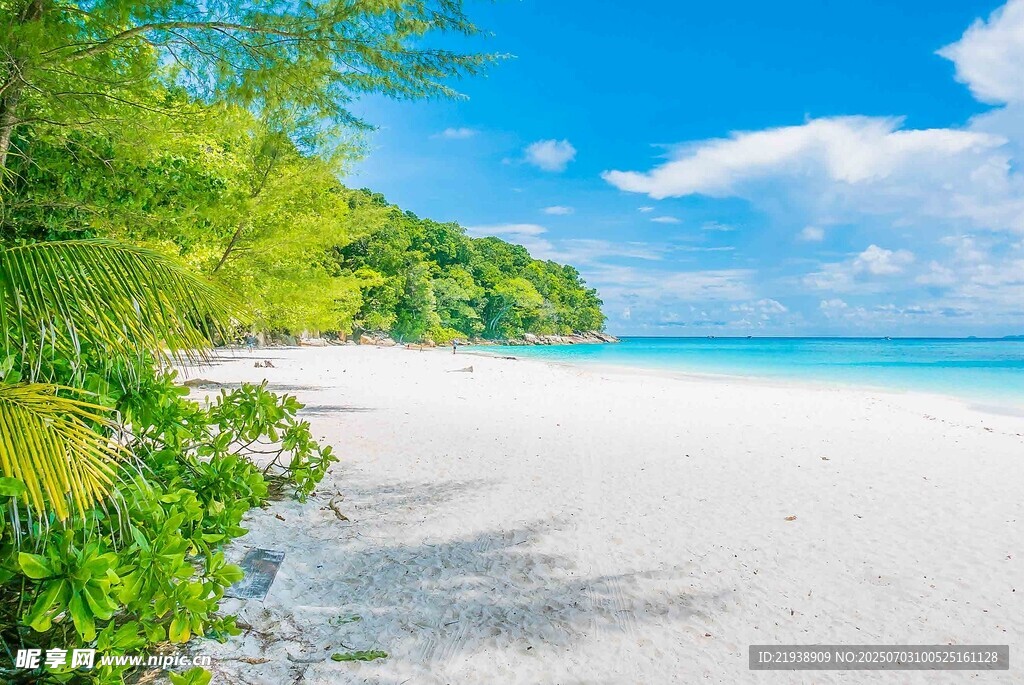 美丽热带海滩风光