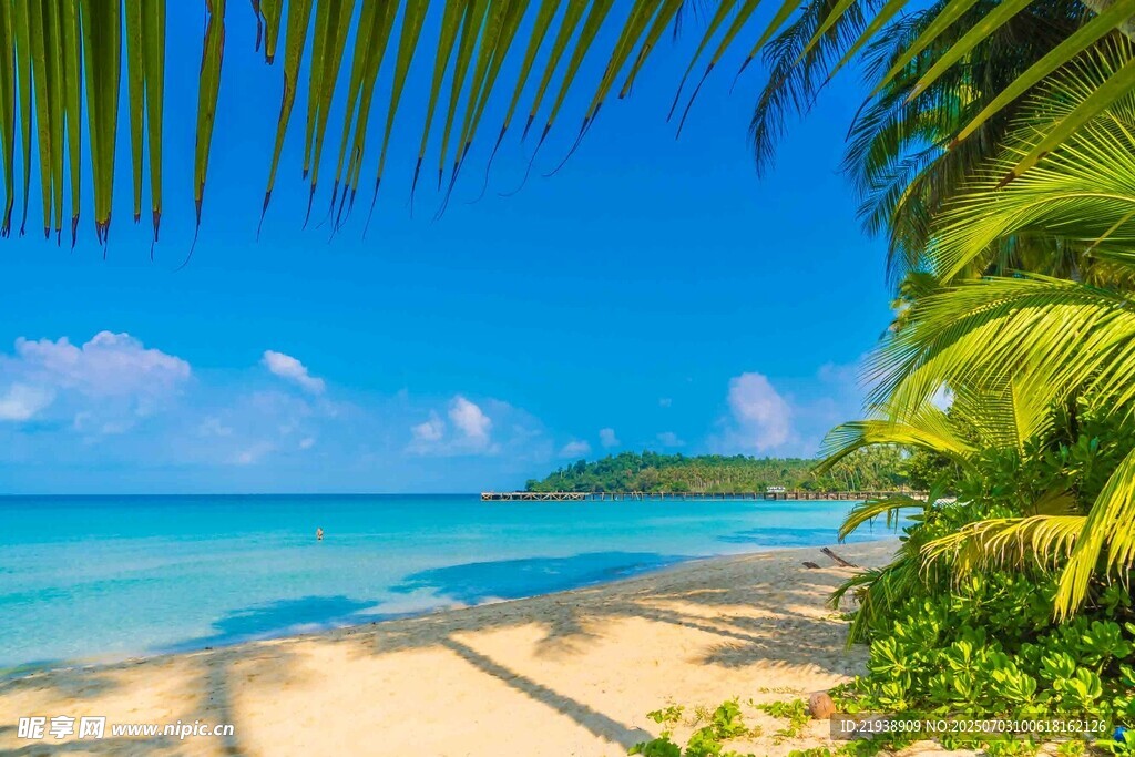 美丽热带海滩风光