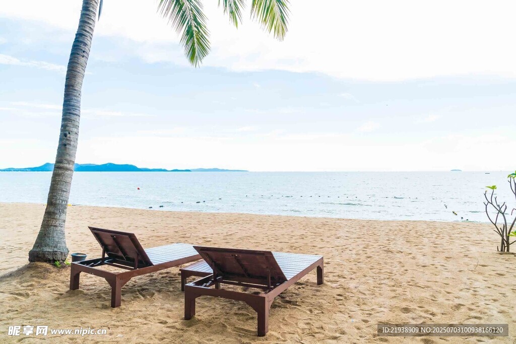 沙滩躺椅旁的椰树海景