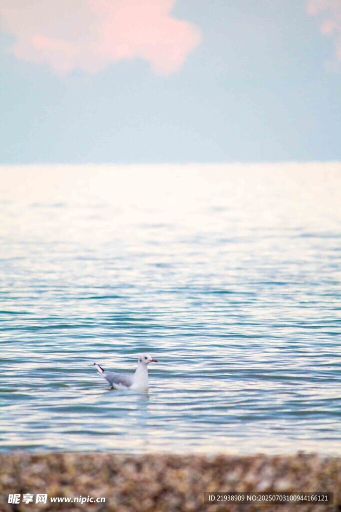 波光粼粼的海面