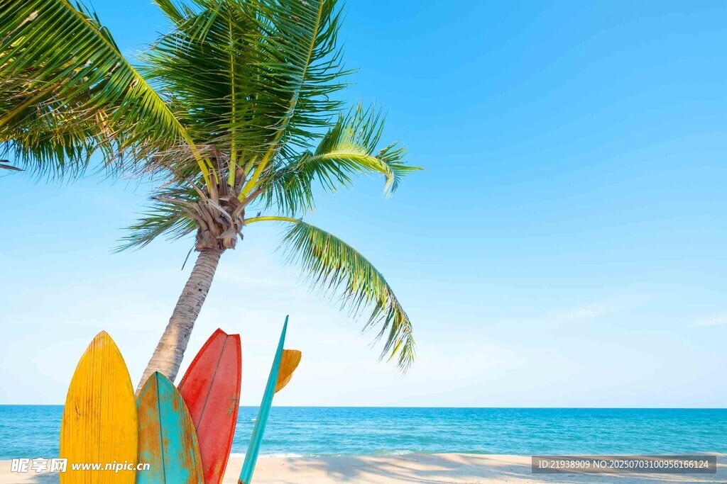 海边多彩冲浪板与棕榈树