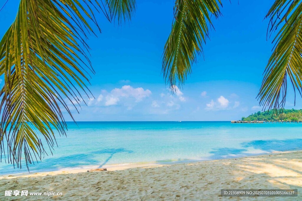 美丽热带海滩风光