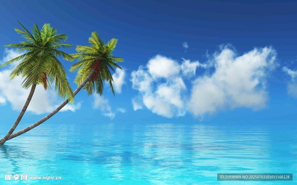 碧海蓝天中的两棵椰子树