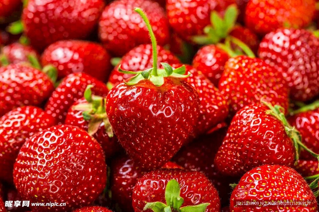 新鲜饱满的红草莓