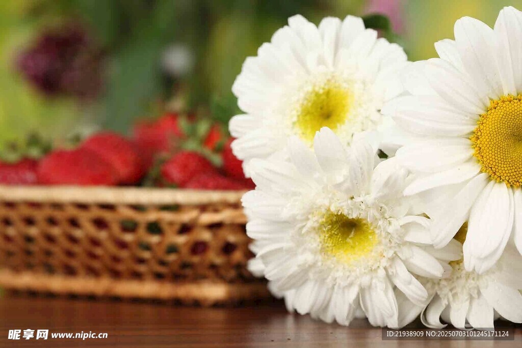 雏菊与草莓的清新组合