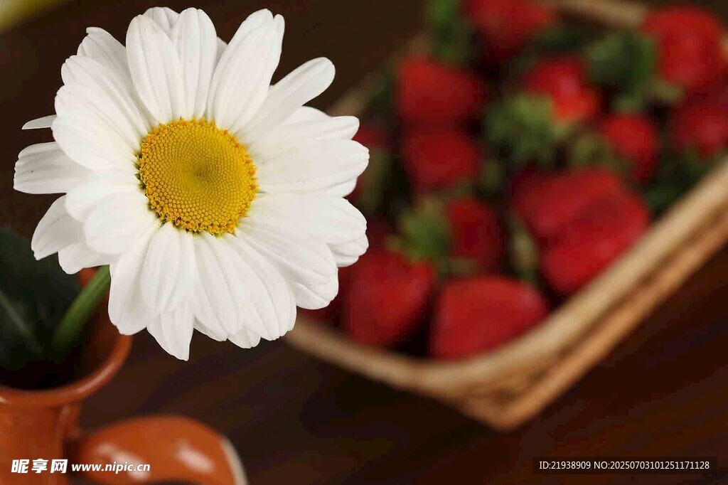 雏菊与草莓的温馨静物