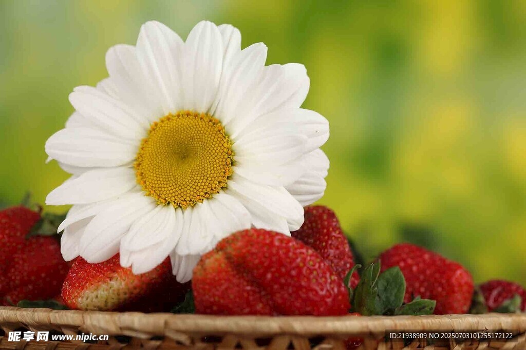 雏菊与草莓的清新组合