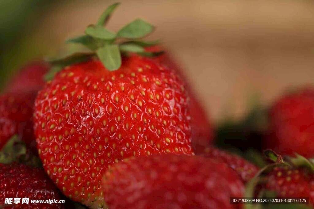 新鲜诱人的成熟草莓