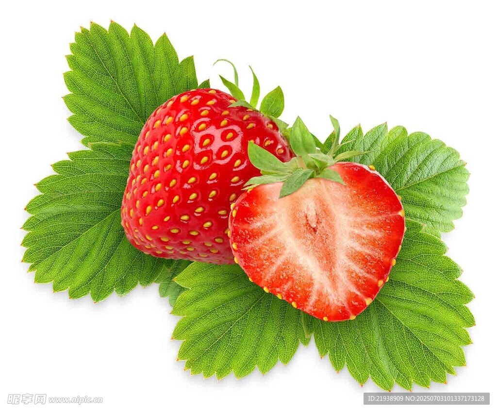 新鲜草莓与绿叶的组合
