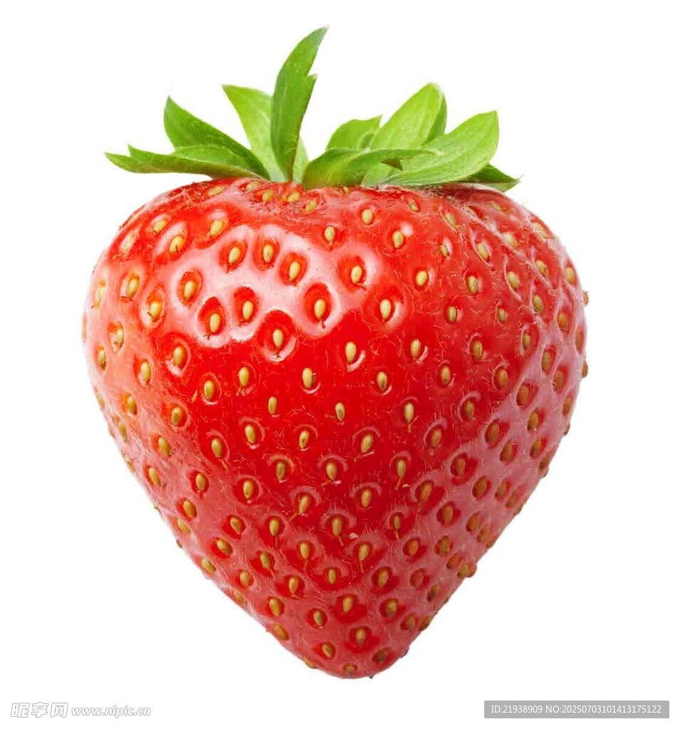 鲜红饱满的单颗草莓