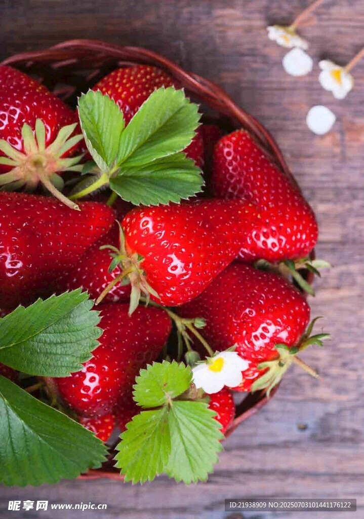 木盘里的新鲜红草莓
