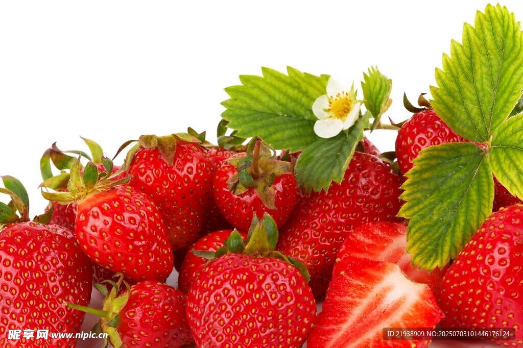 新鲜诱人的草莓果实