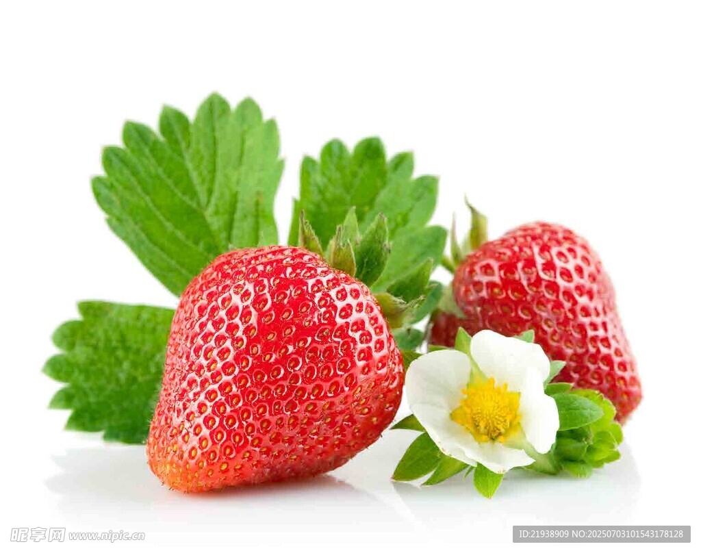 新鲜草莓配绿叶与小花