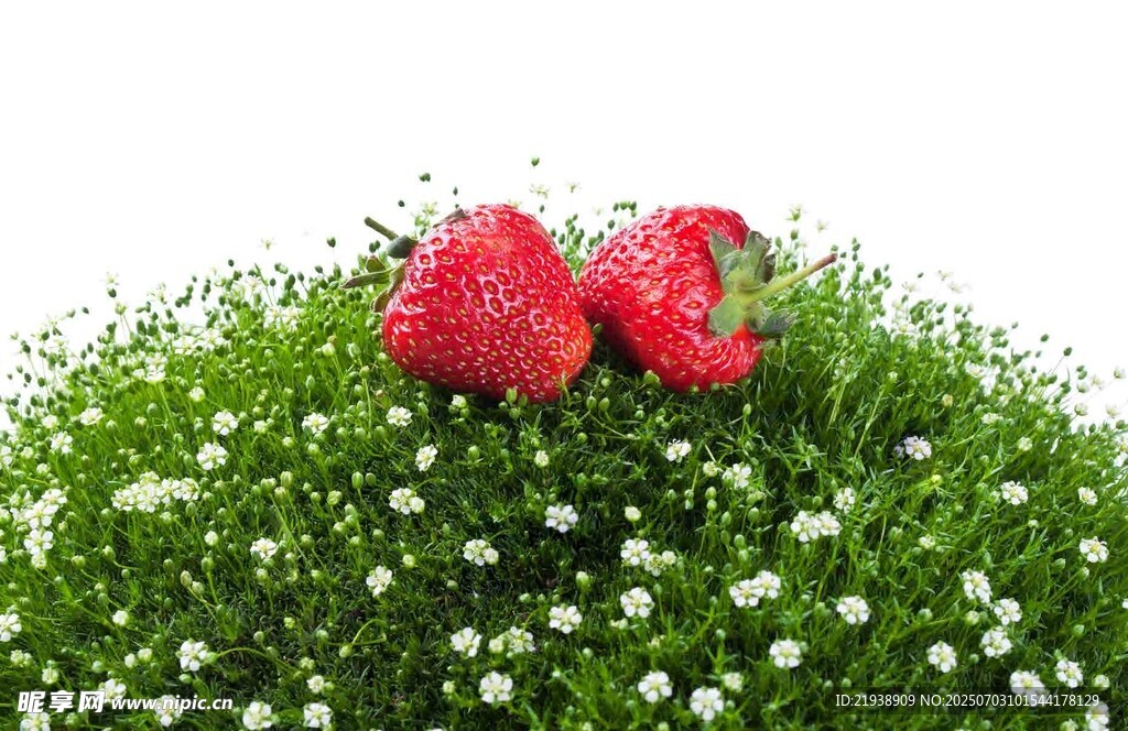 草地上的两朵红草莓