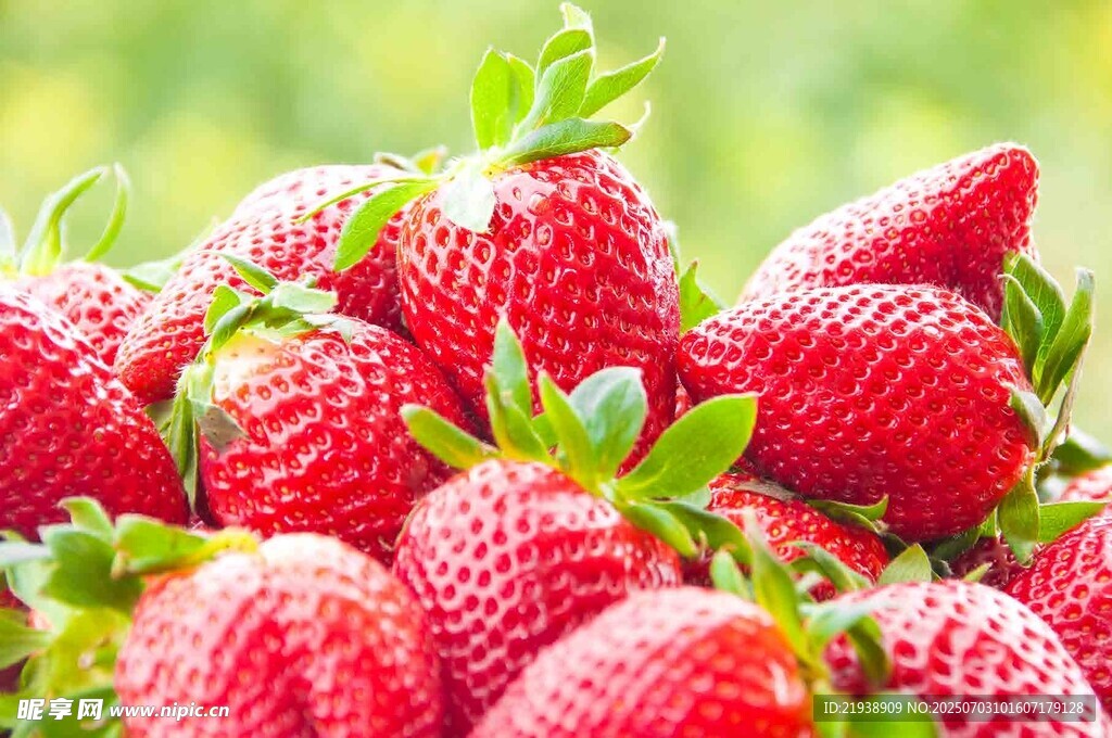 新鲜诱人的草莓果实