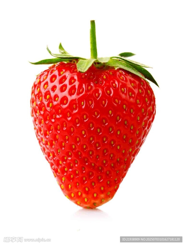 鲜红饱满的单颗草莓