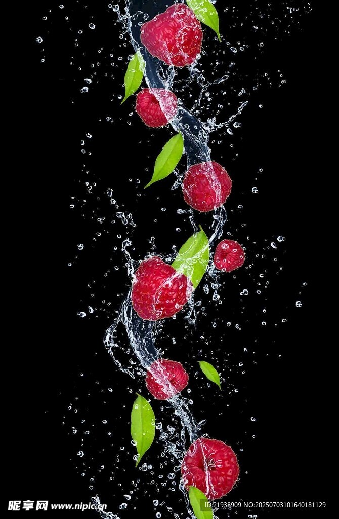 玫瑰水花飞溅的美妙瞬间