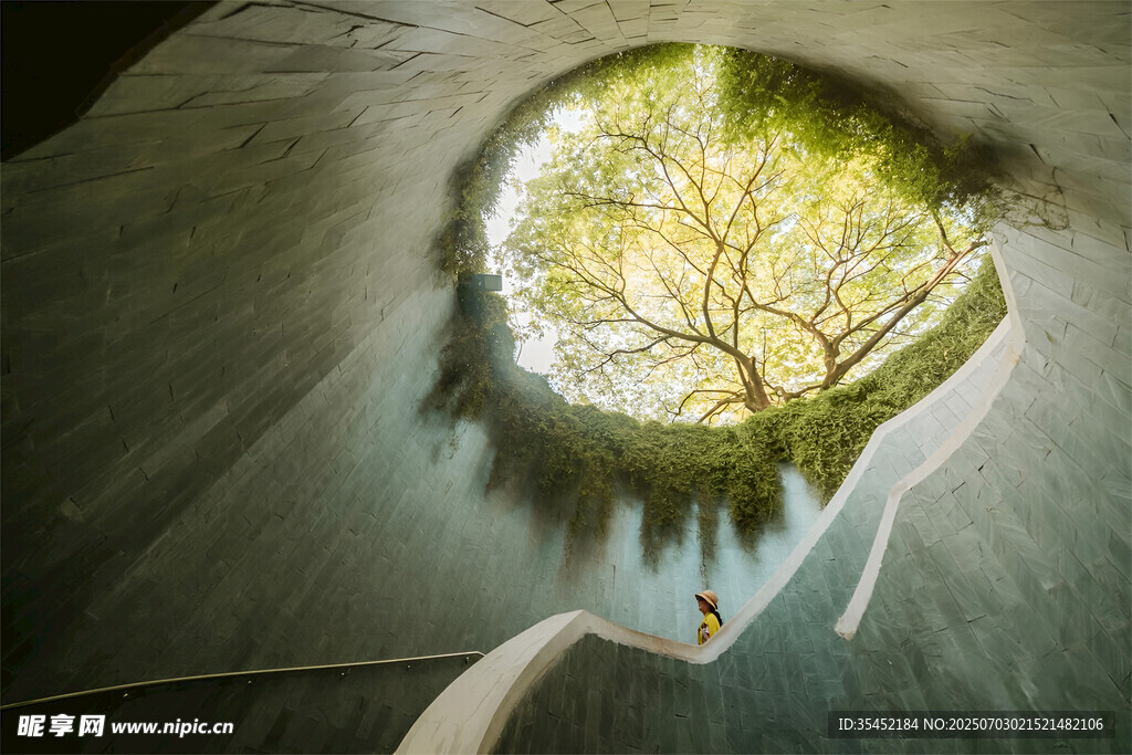 地下空间中的绿意景观