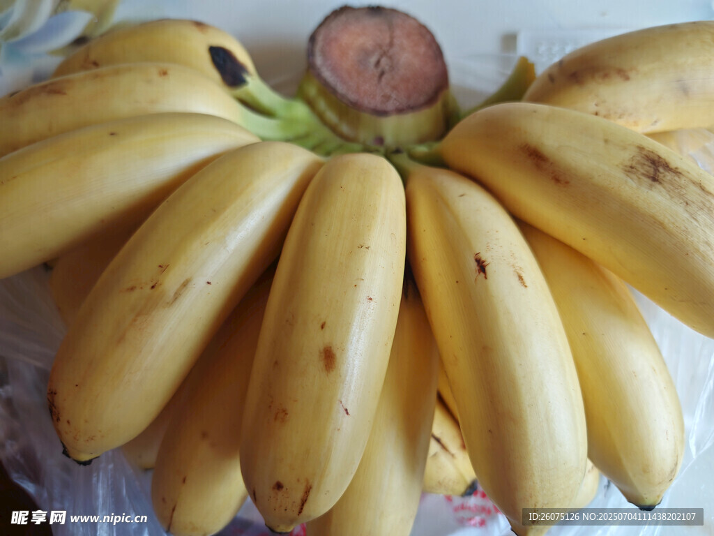 新鲜成串黄香蕉
