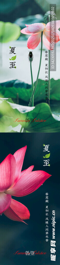 夏至海报