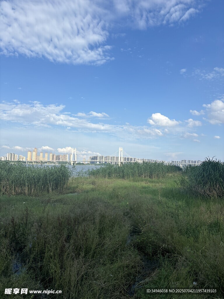 蓝天绿野间的开阔景致