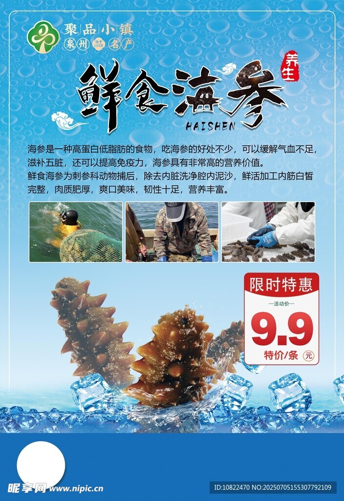 鲜仓海参特惠