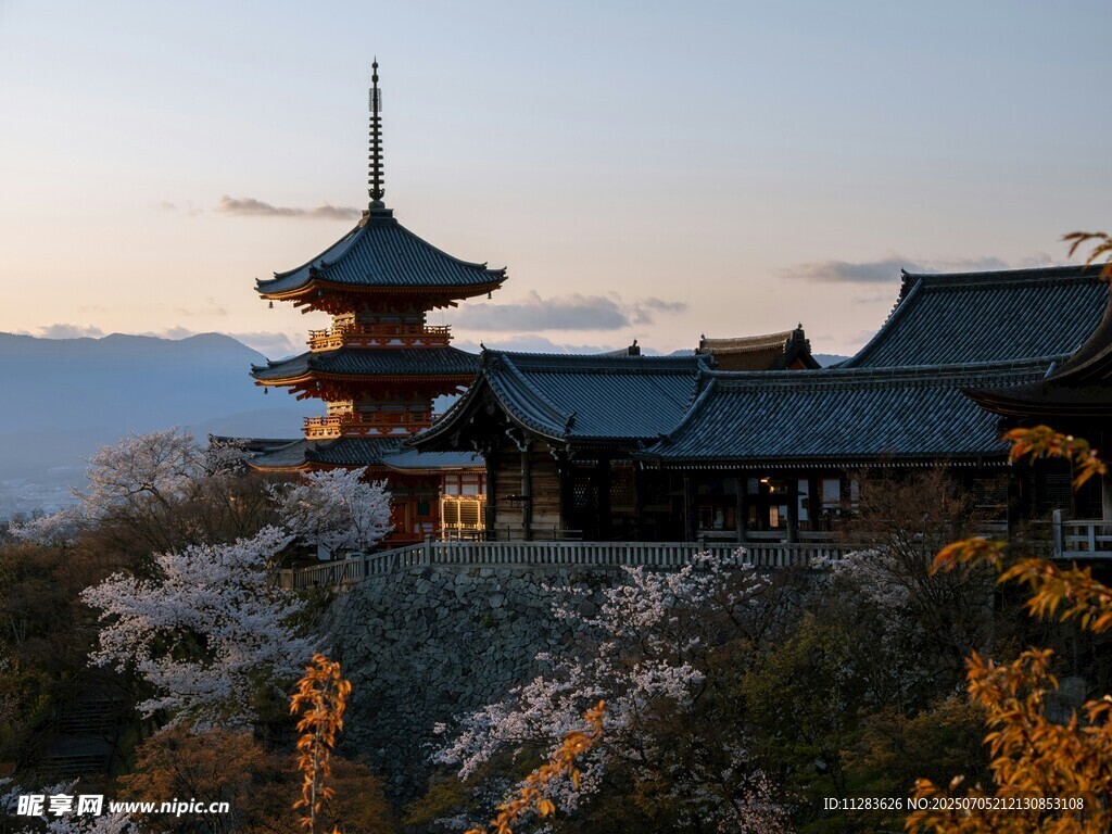 古建与烂漫樱花景致