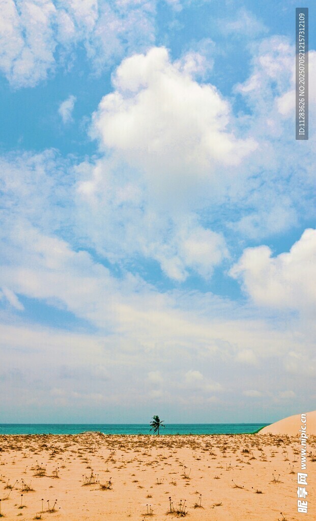 沙滩蓝天美景